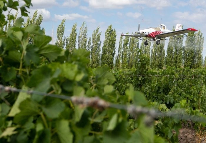 INICIA LA LUCHA POR AIRE Y POR TIERRA CONTRA LA LOBESIA BOTRANA EN 120.000 HECTÁREAS