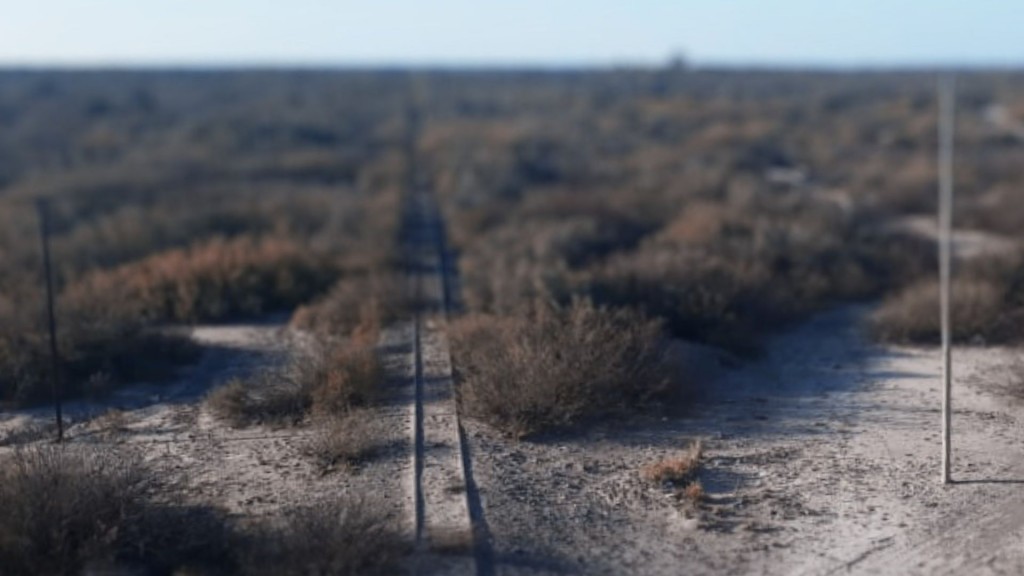 AMOR A PRIMERA VISTA QUE LLEGÓ CON EL TREN