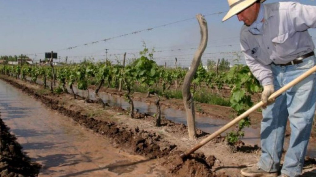 SEGURO AGRÍCOLA: EL 30 CIERRAN LA ADHESIÓN A LA COBERTURA POR GRANIZO