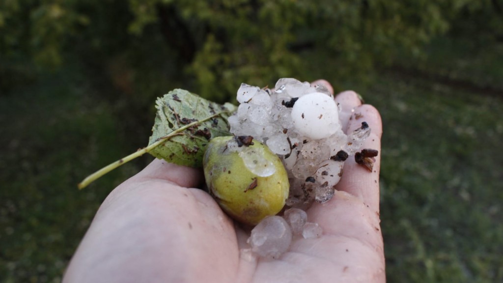 ALERTA AMARILLA POR CAÍDA DE GRANIZO