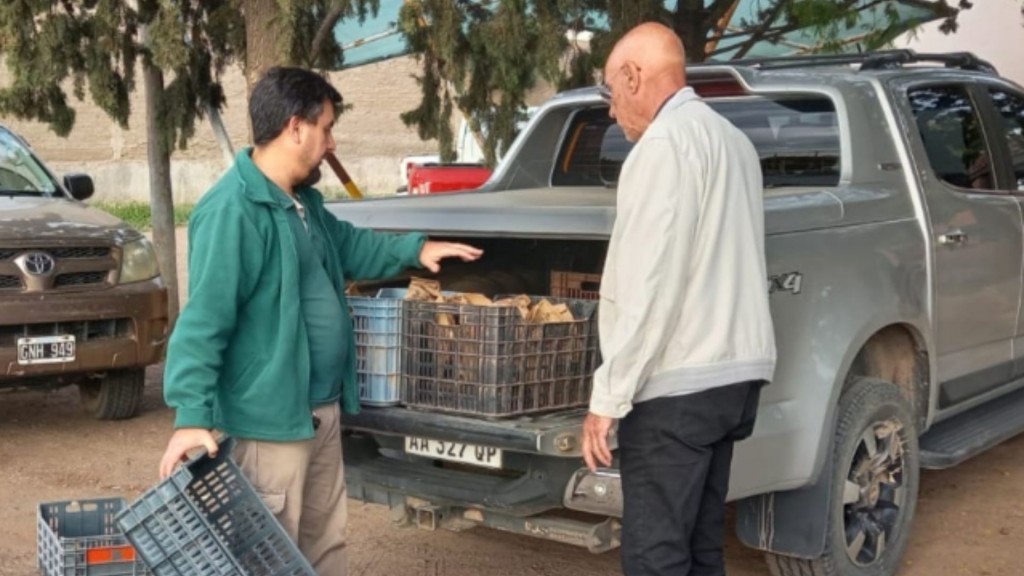 ENTREGAN INSECTOS ESTÉRILES A 29 PRODUCTORES DEL NORTE PARA LIBERARLOS EN FINCAS