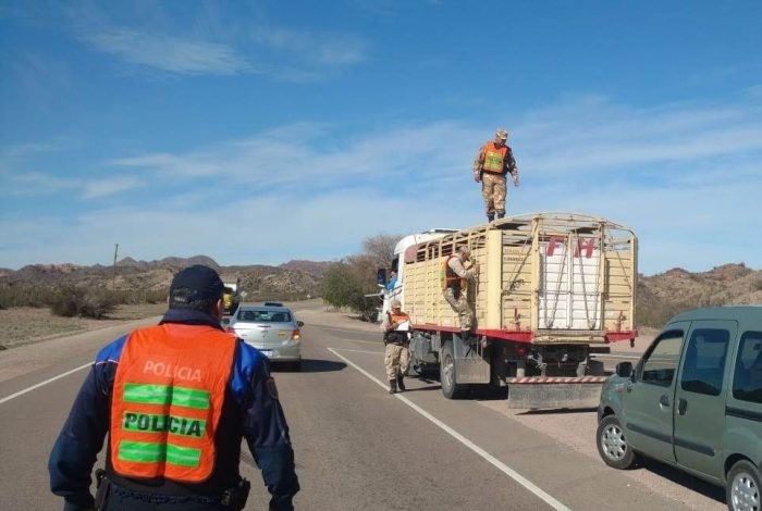 DUEÑOS DE LO AJENO: CRECE EL TEMOR POR POSIBLES INCREMENTO EN CASOS DE ABIGEATO EN LAVALLE